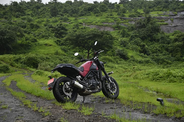 Benelli Leoncino 500 photo