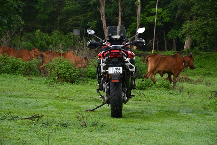Ducati Multistrada V4 photo 5