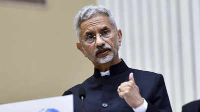 'If someone's uncomfortable ...': Jaishankar's veiled dig at China on terror, LAC row