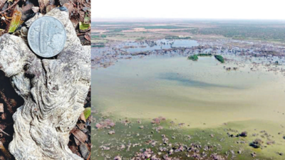 Was Indus Valley civilization impacted by a meteorite?