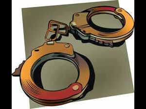 Delhi police uncover scam involving forged no entry permits for commercial vehicles