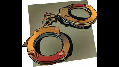 Delhi police uncover scam involving forged no entry permits for commercial vehicles