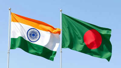 'Occupy North East if India attacks Pakistan': Yunus government aide