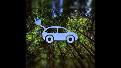 EV cars, two-wheelers driving Lucknow closer to green goals