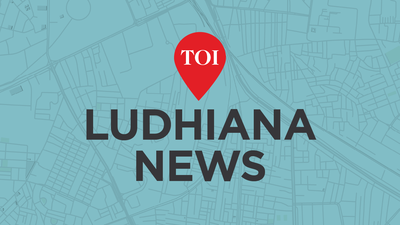 Foggy days: Ludhiana administration orders road safety blitz.
