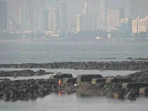 Maharashtra to frame dedicated parking policy for commercial vehicles