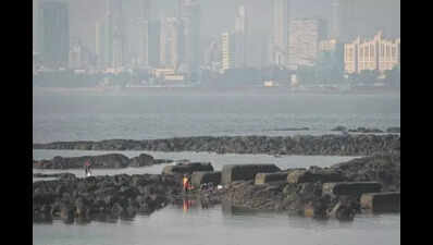 Maharashtra to frame dedicated parking policy for commercial vehicles