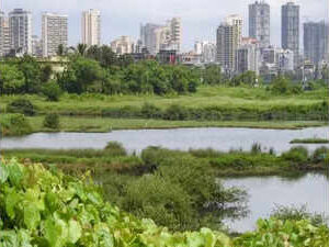 Only shops to benefit Palm Beach Road’s proposed tunnel, says Navi Mumbai locals