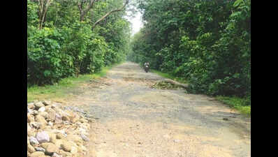 SC allows paving of Laldhang–Chillarkhal road, bars commercial vehicles