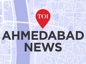 School van hits BRTS railing in Ahmedabad’s Kankaria area, students safe; car overturns