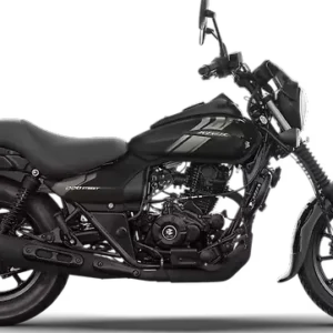 Bajaj Avenger Street 220 Available in Two Colours