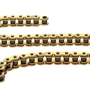 Regina HPE Chain Does Not Need Lubrication at all