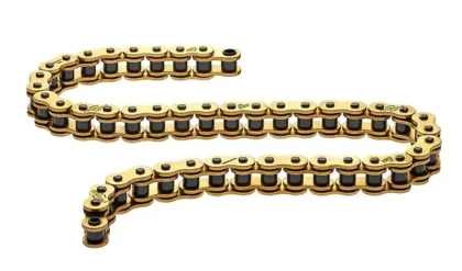 Regina HPE Chain Does Not Need Lubrication at all