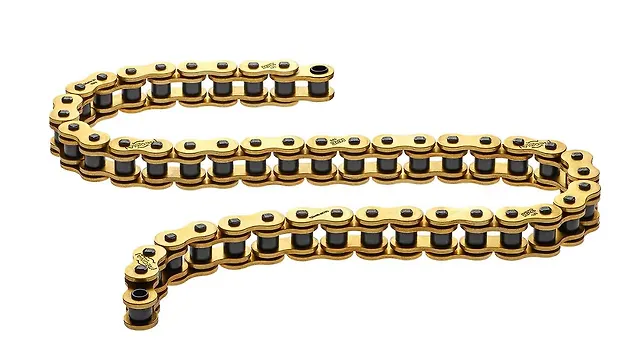 Regina HPE Chain Does Not Need Lubrication at all