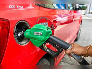 E20 fuel rollout based on scientific validation: Suresh Gopi