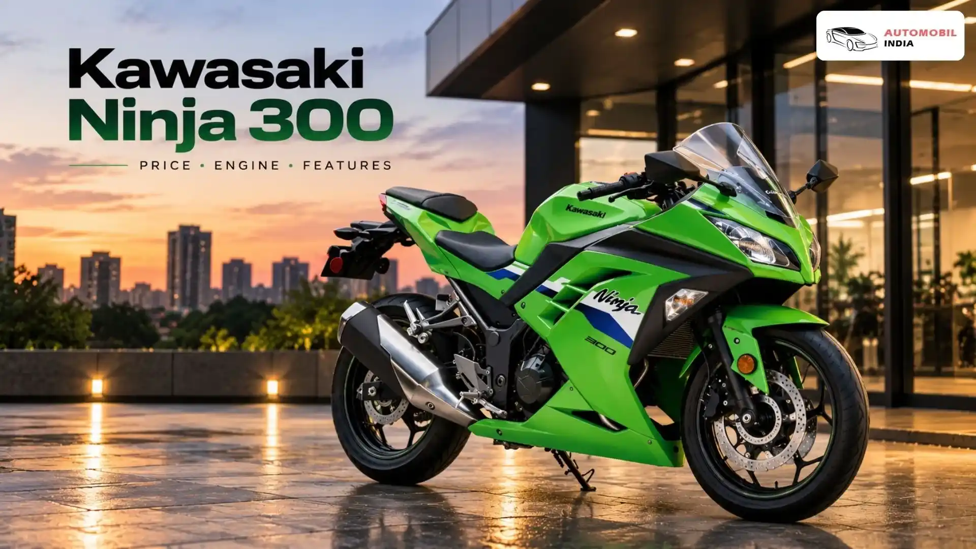Kawasaki Ninja 300